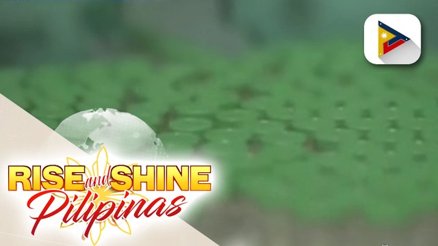 GLOBALITA: Novavax, 90% na epektibo laban sa COVID-19; 29,960 participants, lumahok sa clinical trials; mga mahihirap na bansa, uunahing bigyan ng bakuna