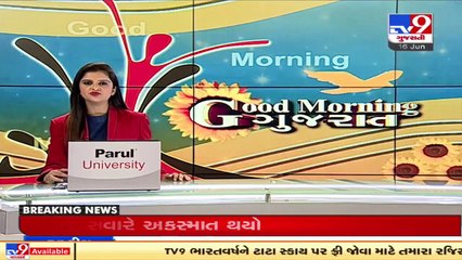 Pigeon with tag on leg caught by Dahej marine cops, Bharuch _ Tv9GujaratiNews