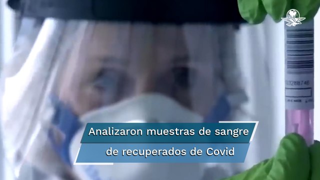 Anticuerpos contra el Covid perduran 12 meses y aumentan con la vacuna