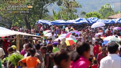 세계테마기행 - 동남아 힐링 트립- 낯선 매혹, 동티모르_#002