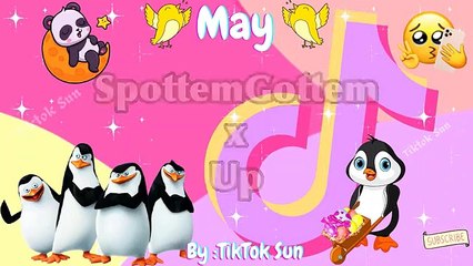 New Tiktok Mashup May 2021 (Not Clean)