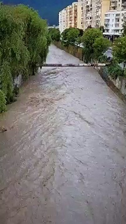 Pârâul Cuiejdi