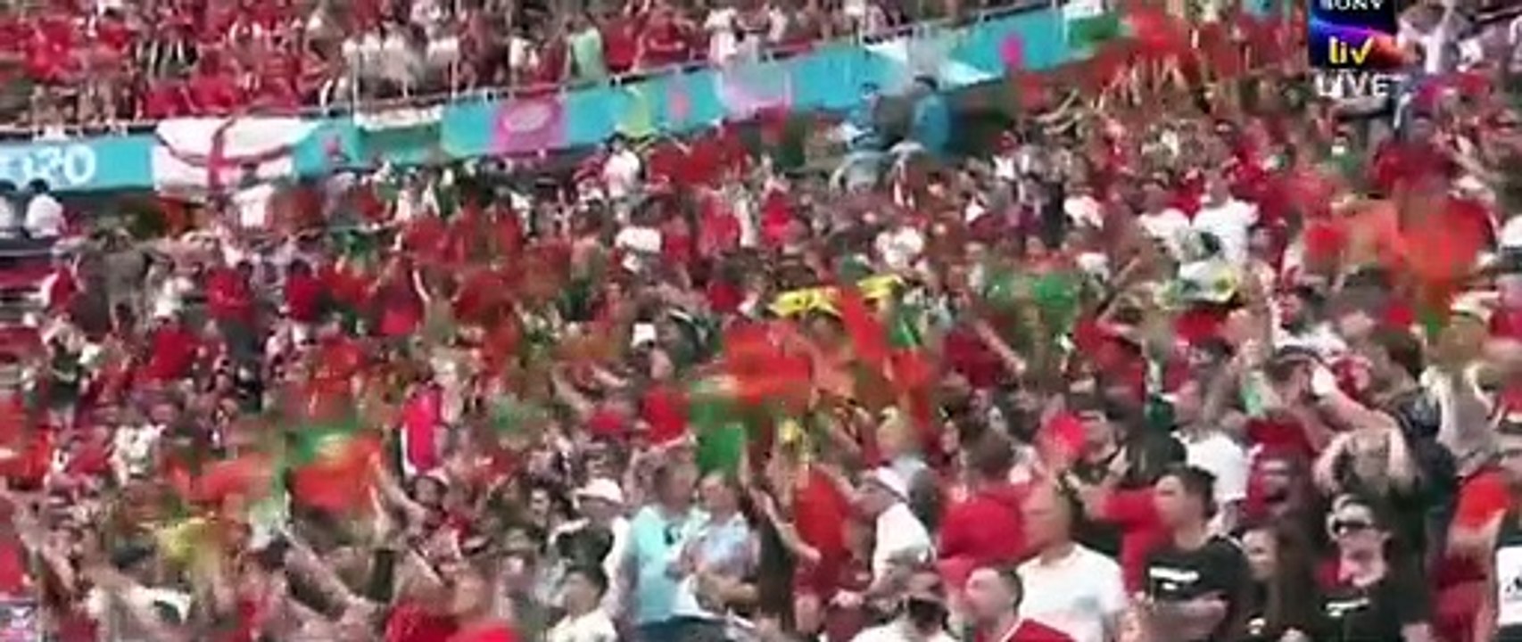 Cristiano Ronaldo amazing goal against Hungary