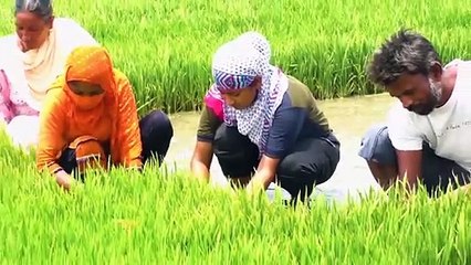 ਕੈਪਟਨ ਸਰਕਾਰ ਦੇ ਮੂੰਹ 'ਤੇ ਚਪੇੜ Slap on Face of Punjab Government | The Punjab TV