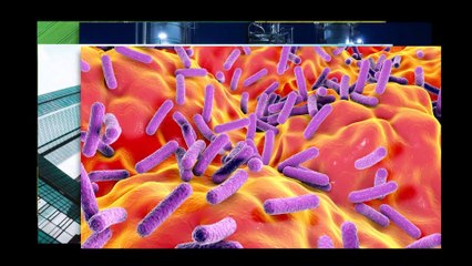 IBM Quantum Development Roadmap