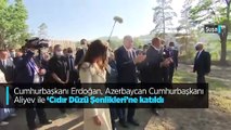 Cumhurbaşkanı Erdoğan, Azerbaycan Cumhurbaşkanı Aliyev ile 