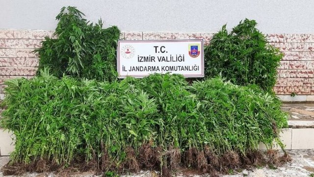 Jandarmadan zehir tacirlerine darbe