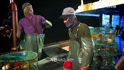 바닷가 사람들 - 바다의 꽃내음, 진도 꽃게잡이 1부_#001