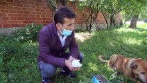 KASTAMONU - Kanala atılan görme engelli köpeğe treyler operatörü sahip çıktı