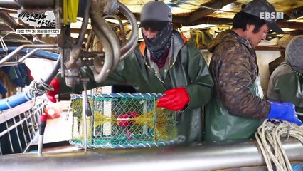 바닷가 사람들 - 바다의 꽃내음, 진도 꽃게잡이 1부_#002