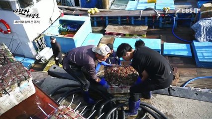 바닷가 사람들 - 바다의 꽃내음, 진도 꽃게잡이 1부_#003