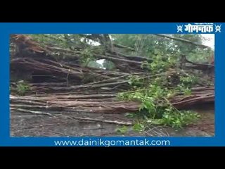 गोव्यातील वादळी वाऱ्याची काही बोलकी छायाचित्रे | Cyclone Tauktae | Goa News