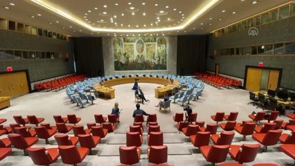 BM Güvenlik Konseyi'nde reform isteği her geçen gün artıyor