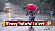 Odisha Weather Forecast: Yellow Warning Issued, Heavy Rainfall In Several Districts