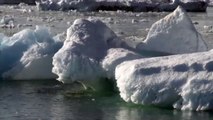 El hielo del Ártico retrocede con más rapidez cada vez y se acerca a un punto de no retorno