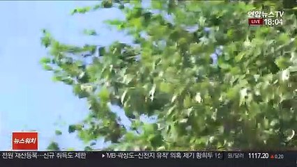 [날씨] 내일 흐리고 더위 주춤…모레 비 조금