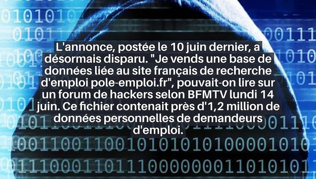 Pôle emploi : les données personnelles d'un million de demandeurs d'emploi revendues sur Internet ?_IN