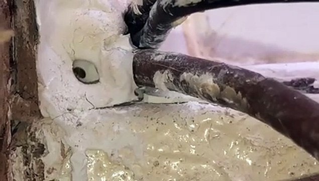 Family forced to eat in their car as thousands of flying beetles invade Milton Keynes council flat