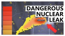 法商緊急向美求助 中國核電廠恐有輻射疑慮
