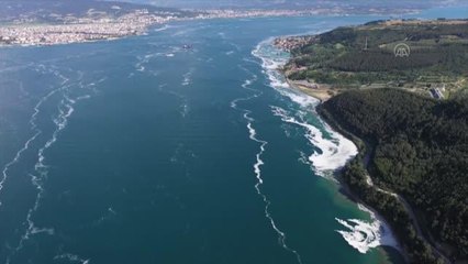 Download Video: ÇANAKKALE - Tarihi Gelibolu Yarımadası sahillerindeki müsilaj yoğunluğu havadan görüntülendi