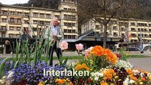 Suisse :  Interlaken