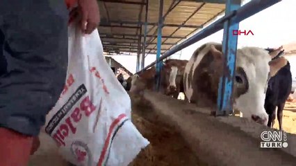 Kuraklık, samanı da vurdu!