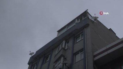 Küçükçekmece'de dehşete düşüren kedi olayının görgü tanıkları konuştu
