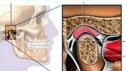 Dott. Francewsconi Blue Medical Center