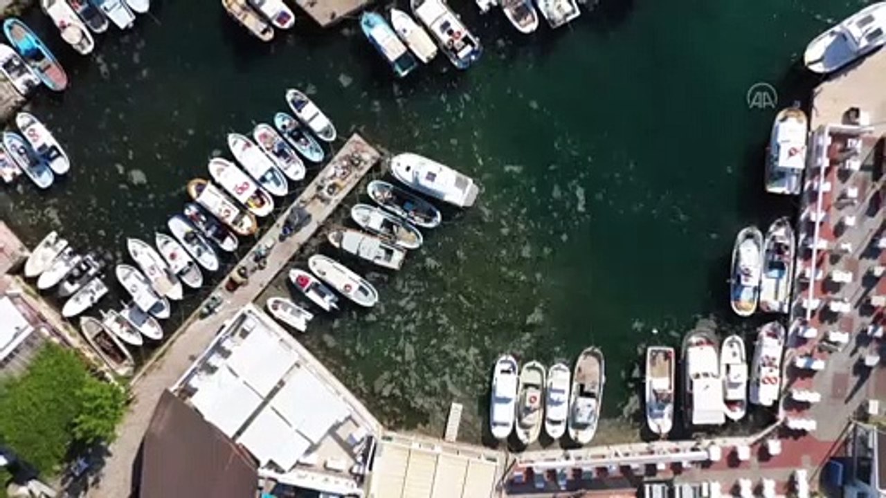 ÇANAKKALE - Tarihi Gelibolu Yarımadası sahillerindeki müsilaj yoğunluğu havadan görüntülendi (2)