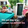 Viral Video Shows Loyal Dog Chasing Ambulance Carrying Owner To Hospital