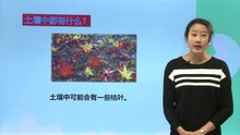 2我们的地球家园-《土壤——动植物的乐园》|小学科学