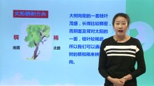 3我们的地球家园-《太阳的位置和方向》|小学科学