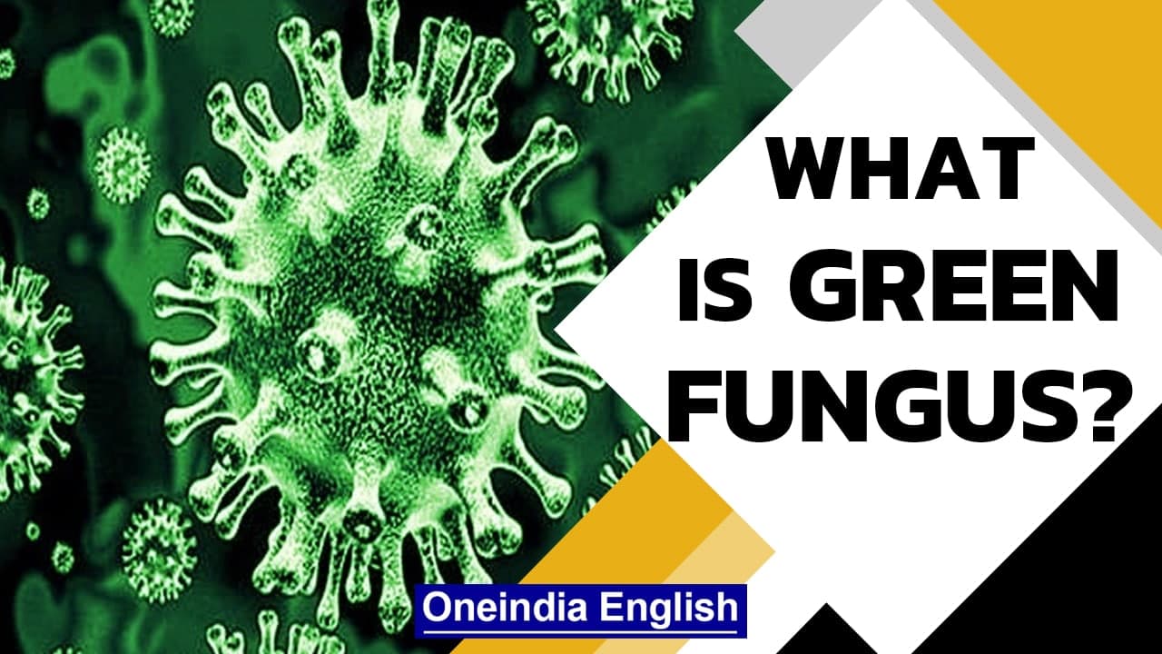 ‘Green Fungus’ detected in Covid survivor in Madhya Pradesh | Aspergillosis symptoms | Oneindia News