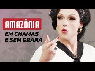 Bate-papo com Rita Von Hunty: Amazônia em chamas