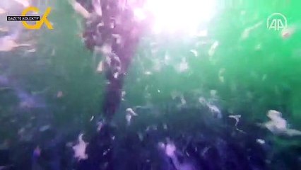 MARMARA DENİZİ DİBİNDEKİ YOĞUN MÜSİLAJIN SON DURUMU