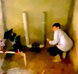 Yumurtaları toplamak isteyen 14 yaşındaki çocuk, horozun saldırısına uğradı