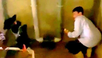 Kümesten yumurtaları toplamak isteyen çocuğa horozlar saldırdı