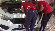 Son dakika haberleri... Otomobilin motor bölümüne sıkışan kedi yavrusunu itfaiye kurtardı