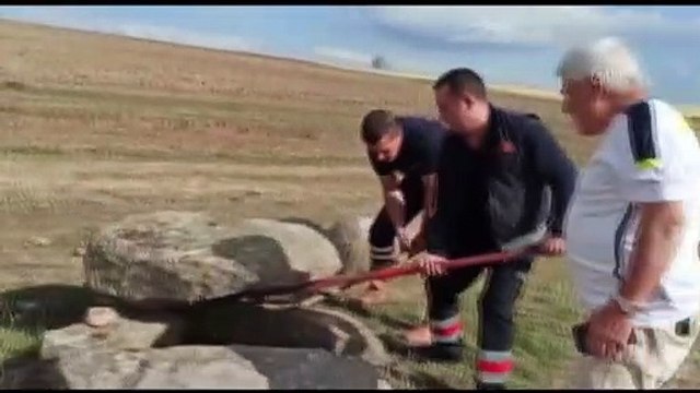 AFYONKARAHİSAR - Boş su kuyusuna düşen yavru tilkiyi itfaiye ekipleri kurtardı