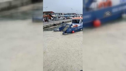 İzmit Körfezi'nde müsilaj etkisini sürdürüyor