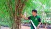 Farm Tour Philippines - Mindoro Wilgreen Bamboo Farm And Industry |  Bamboo Farm Capital Of Mindoro