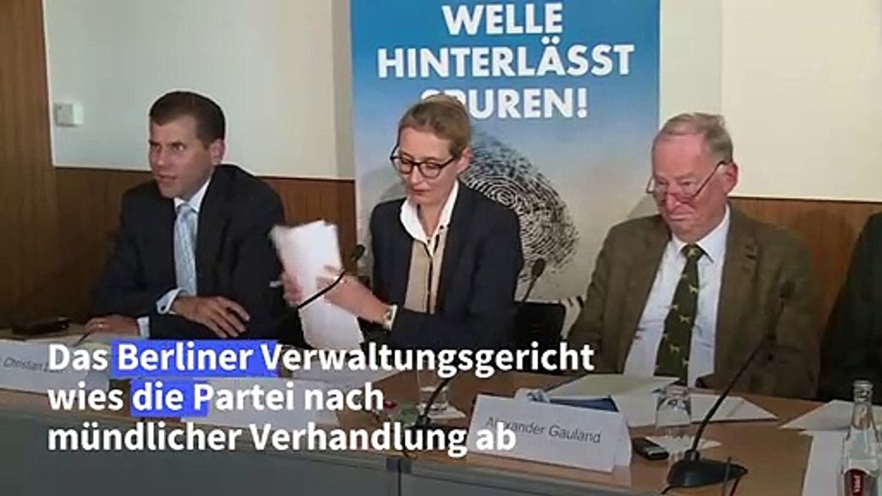 AfD scheitert mit Klage gegen Bußgeld in Spendenaffäre