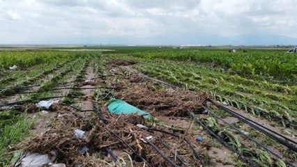 AFYONKARAHİSAR'DA SAĞANAK; EVLER VE TARIM ARAZİLERİ SU ALTINDA