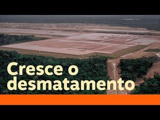 Bolsonaro ataca a ciência e os dados sobre o desmatamento na Amazônia