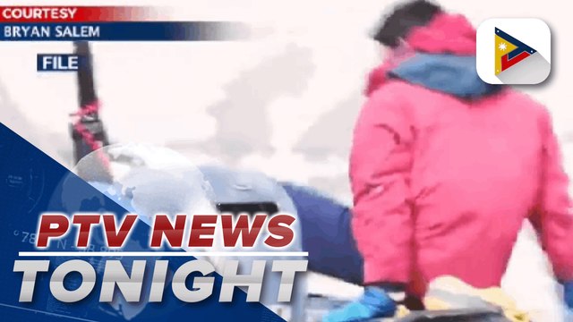 Seafarers, land-based workers, recruitment industries seek government help to put overseas employment back on track