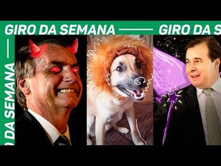 Bolsonaro, OAB, Vaza Jato, legaliza e cão Chico