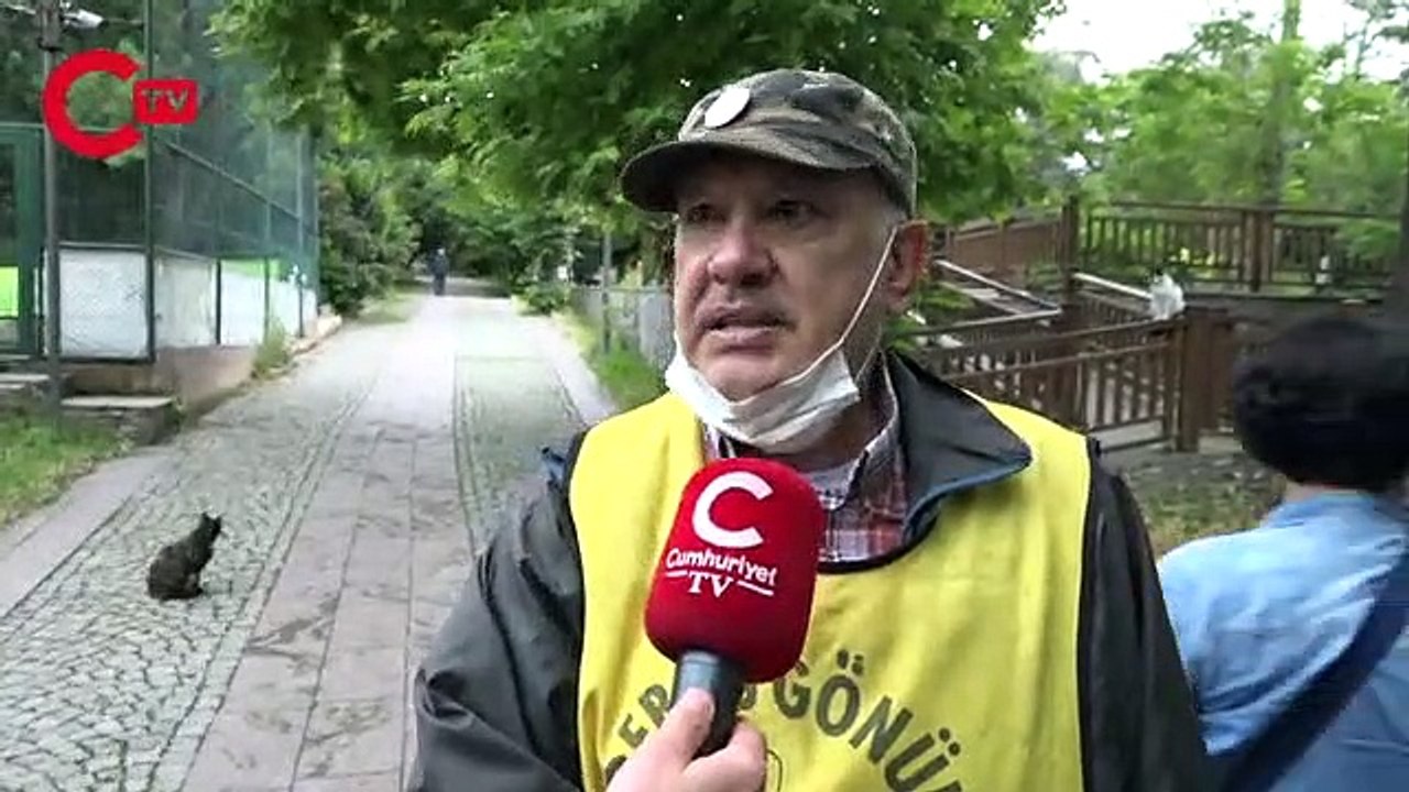 Validebağ Korusu'nu park-bahçe yapma projesi! Başkan Türkmen'e zor sorular