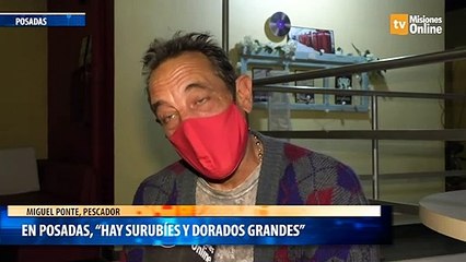 En Posadas, “hay surubíes y dorados grandes”