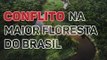 Amazônia Sem Lei: desmatamento, grilagem e queimadas na maior floresta do Brasil