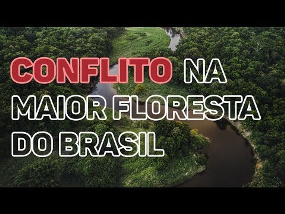 Amazônia Sem Lei: desmatamento, grilagem e queimadas na maior floresta do Brasil
